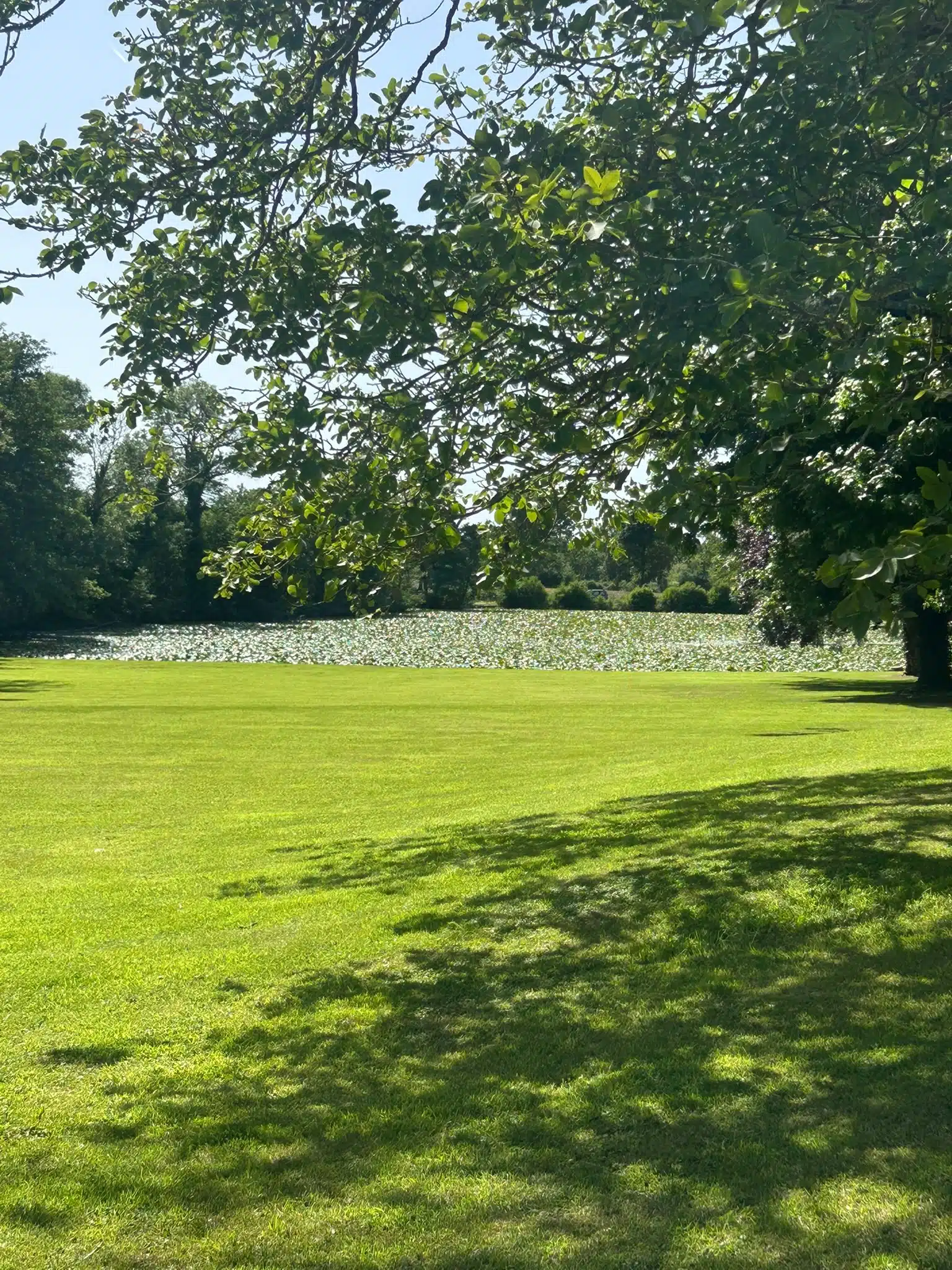 Paysage de nature verdoyante, symbole d’un climat préservé